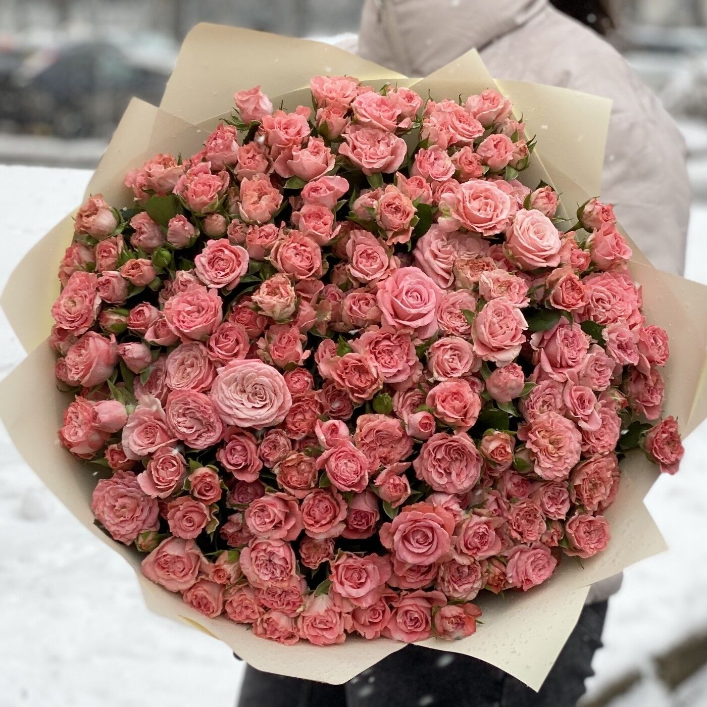 Розовые Розы Мистера Вонки